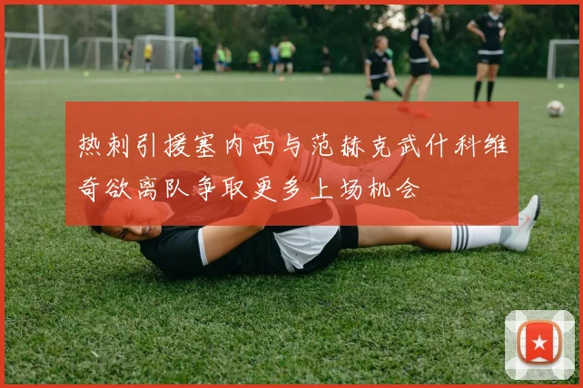 热刺引援塞内西与范赫克武什科维奇欲离队争取更多上场机会